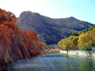 新澳天天开奖资料大全旅游团，水泥瓦成型机